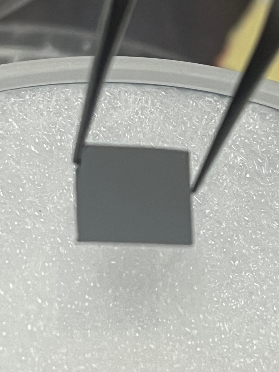 Lab photo 12