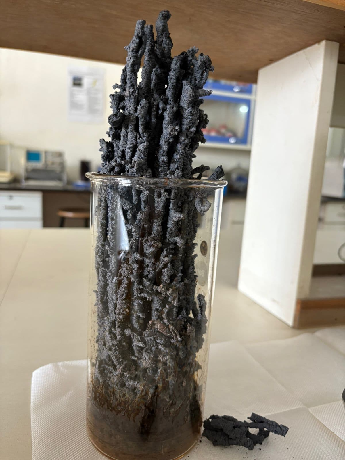 Lab photo 18